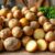 Dieta ziemniaczana: zasady, efekty i zagrożenia zdrowotne