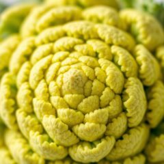 Kalafior romanesco – zdrowe właściwości i wartości odżywcze