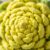 Kalafior romanesco – zdrowe właściwości i wartości odżywcze